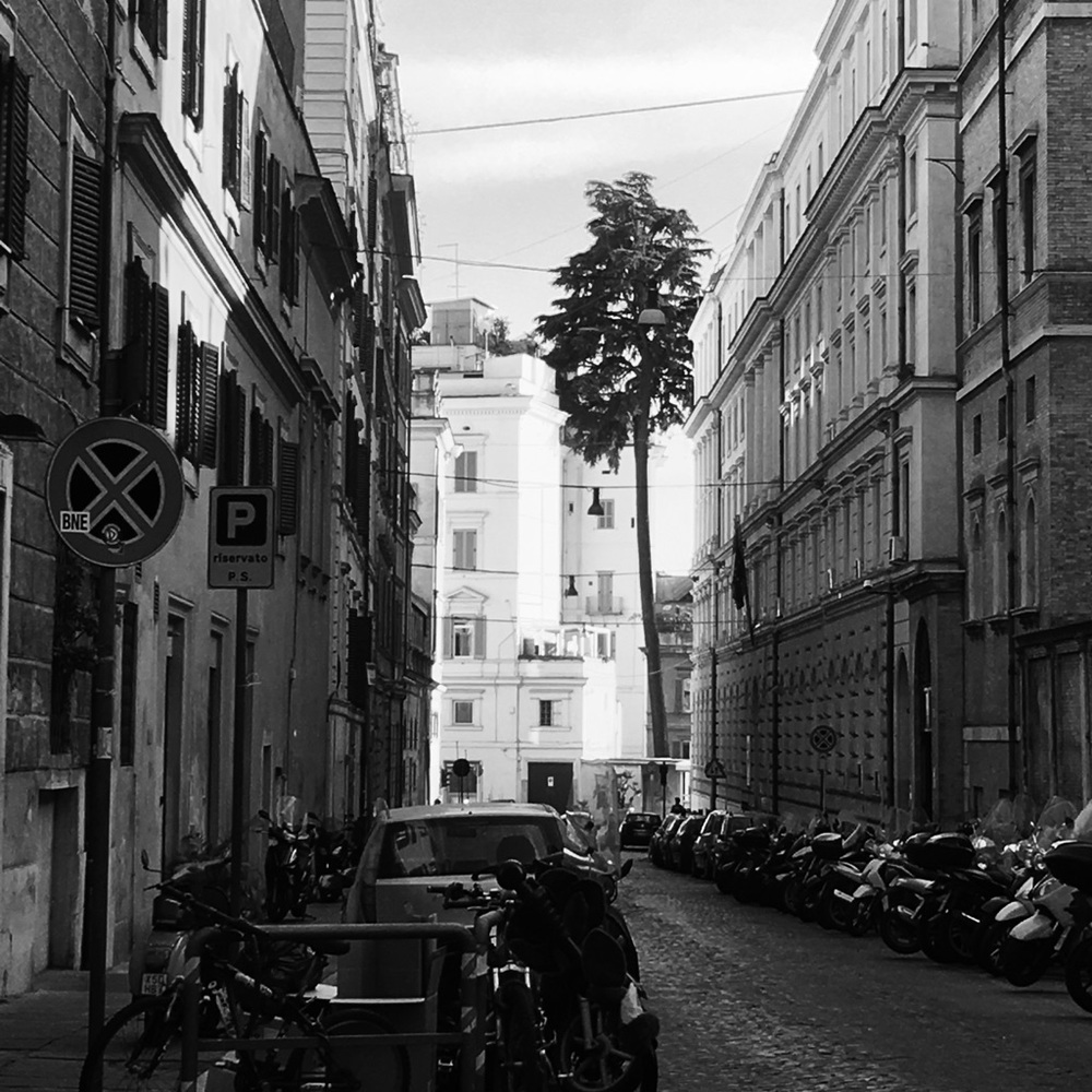 Meet your Posher, Michael